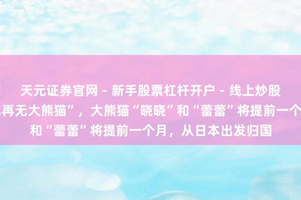 天元证券官网 - 新手股票杠杆开户 - 线上炒股配资如何注册 “日本再无大熊猫”，大熊猫“晓晓”和“蕾蕾”将提前一个月，从日本出发归国
