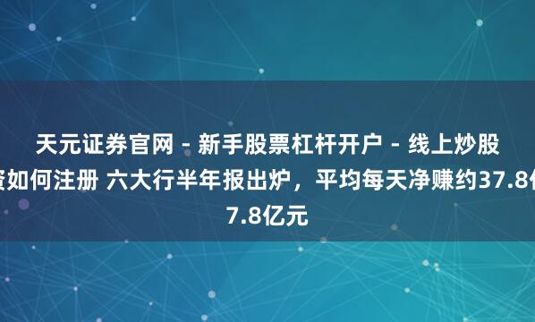天元证券官网 - 新手股票杠杆开户 - 线上炒股配资如何注册 六大行半年报出炉，平均每天净赚约37.8亿元