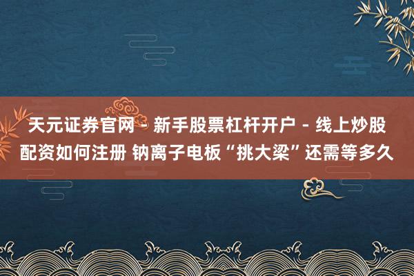 天元证券官网 - 新手股票杠杆开户 - 线上炒股配资如何注册 钠离子电板“挑大梁”还需等多久