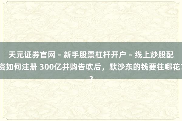 天元证券官网 - 新手股票杠杆开户 - 线上炒股配资如何注册 300亿并购告吹后，默沙东的钱要往哪花？