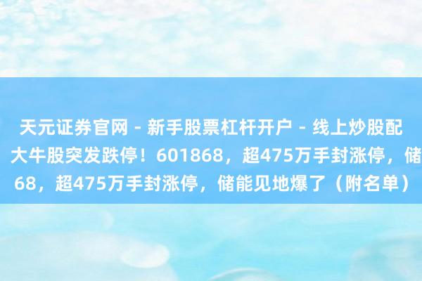 天元证券官网 - 新手股票杠杆开户 - 线上炒股配资如何注册 603061，大牛股突发跌停！601868，超475万手封涨停，储能见地爆了（附名单）