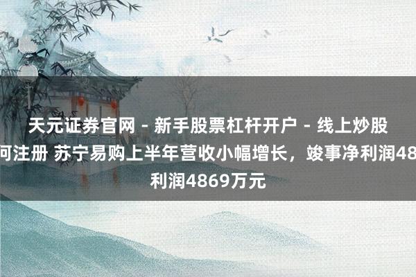 天元证券官网 - 新手股票杠杆开户 - 线上炒股配资如何注册 苏宁易购上半年营收小幅增长，竣事净利润4869万元