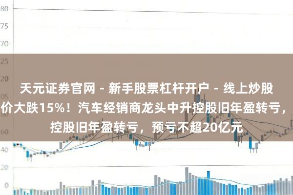 天元证券官网 - 新手股票杠杆开户 - 线上炒股配资如何注册 股价大跌15%！汽车经销商龙头中升控股旧年盈转亏，预亏不超20亿元