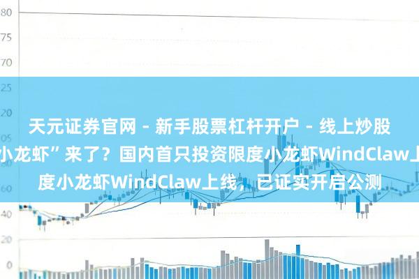 天元证券官网 - 新手股票杠杆开户 - 线上炒股配资如何注册 炒股“小龙虾”来了？国内首只投资限度小龙虾WindClaw上线，已证实开启公测