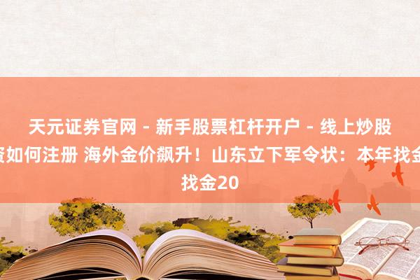 天元证券官网 - 新手股票杠杆开户 - 线上炒股配资如何注册 海外金价飙升！山东立下军令状：本年找金20