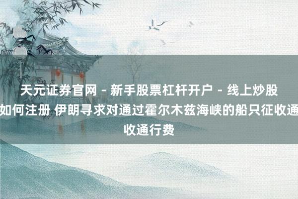 天元证券官网 - 新手股票杠杆开户 - 线上炒股配资如何注册 伊朗寻求对通过霍尔木兹海峡的船只征收通行费