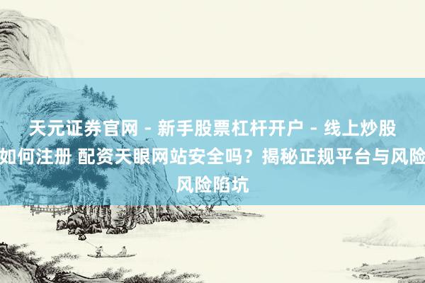 天元证券官网 - 新手股票杠杆开户 - 线上炒股配资如何注册 配资天眼网站安全吗？揭秘正规平台与风险陷坑