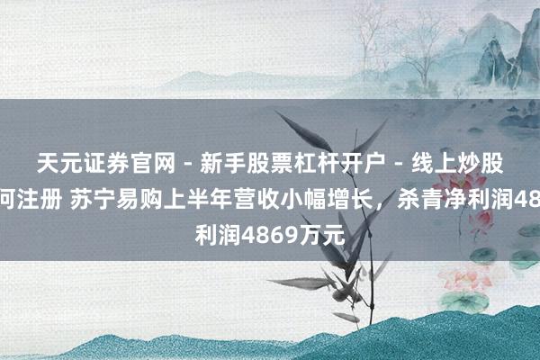 天元证券官网 - 新手股票杠杆开户 - 线上炒股配资如何注册 苏宁易购上半年营收小幅增长，杀青净利润4869万元