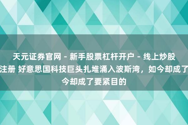 天元证券官网 - 新手股票杠杆开户 - 线上炒股配资如何注册 好意思国科技巨头扎堆涌入波斯湾，如今却成了要紧目的