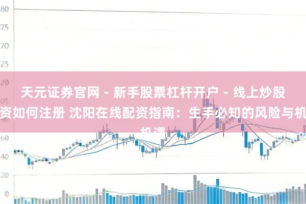 天元证券官网 - 新手股票杠杆开户 - 线上炒股配资如何注册 沈阳在线配资指南：生手必知的风险与机遇