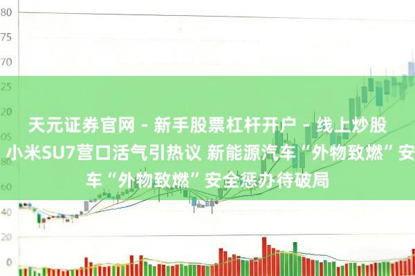 天元证券官网 - 新手股票杠杆开户 - 线上炒股配资如何注册 小米SU7营口活气引热议 新能源汽车“外物致燃”安全惩办待破局