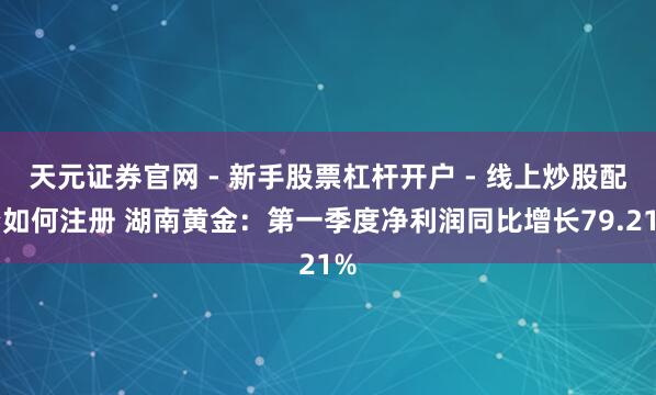 天元证券官网 - 新手股票杠杆开户 - 线上炒股配资如何注册 湖南黄金：第一季度净利润同比增长79.21%