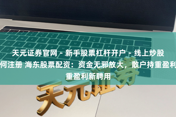 天元证券官网 - 新手股票杠杆开户 - 线上炒股配资如何注册 海东股票配资：资金无邪放大，散户持重盈利新聘用